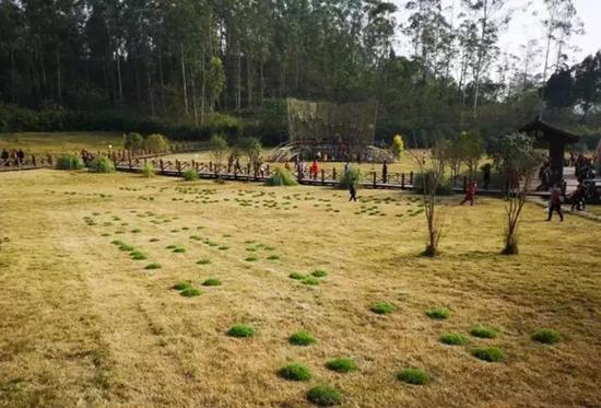 范勃 一次诗歌复制 装置:泥土、草皮 2018