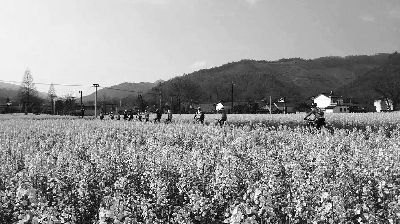 【来源：人民网】做好“花”样文章 让旅游有文化有芳香